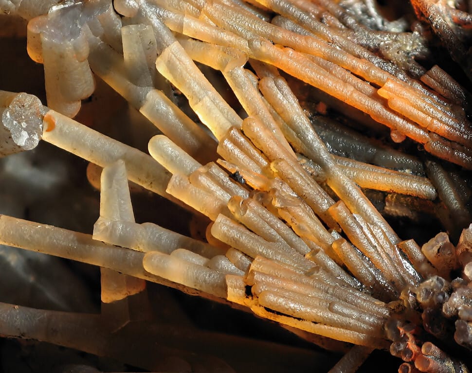 Kalcedon
